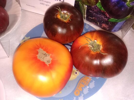 Яркий самоцвет